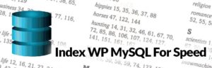 L’extension Index WP MySQL For Speed pour WordPress
