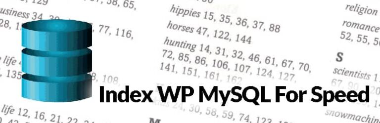 L&rsquo;extension Index WP MySQL For Speed pour WordPress