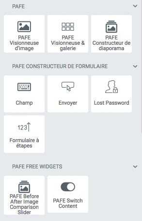 PAFE : <b>la solution ultime</b> pour vos formulaires avec Elementor ! 2 PAFE : <b>la solution ultime</b> pour vos formulaires avec Elementor ! 1