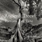 Le livre de Beth Moon