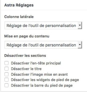 Astra thème gratuit : un <b>bon compagnon</b> pour Elementor 4 Astra thème pour WordPress - Réglages de page