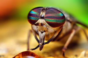 Astuces photos par Fabien Beilhe