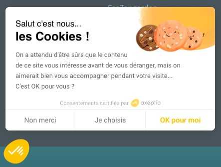 Axeptio : des cookies RGPD <b>a croquer sans retenue !</b> 4 Axeptio - Exemple de panneau de cookies