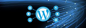 D&eacute;sactiver les mises &agrave; jour automatiques WordPress