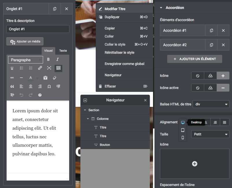 Elementor v2.8 : de petites touches <b>qui laissent sur sa faim</b> 4 Elementor v2.8 : de petites touches <b>qui laissent sur sa faim</b> 4