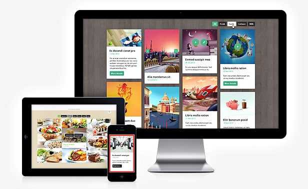 Go-Portfolio pour WordPress : vos portfolios <b>personnalisés !</b> 2 Les options d'affichage