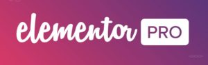 Elementor Page Builder : le constructeur de page <b>le plus novateur ?</b> 1 Elementor PRO