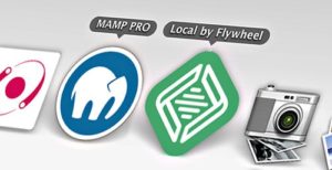 MAMP vs Local by FlyWheel