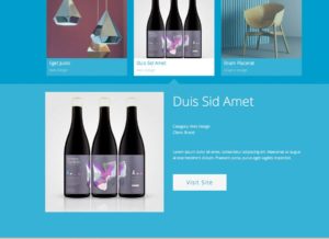 Thème WordPress Metrika : <b>un mélange des genres</b> 4 Le portfolio ouvert en direct