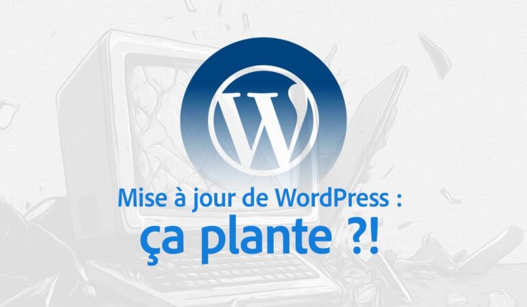 Accueil 3 Mise à jour de WordPress ça plante ?!