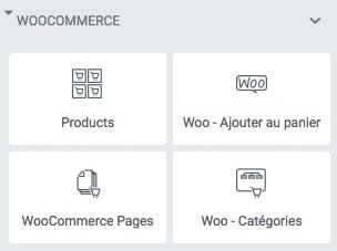 Elementor 2.1 : une <b>montée en puissance</b> bienvenue ! 6 Les modules généraux pour Woocommerce