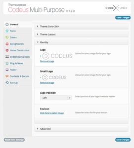 Thèmes Premium pour WordPress : <b>la coupe</b> est-elle pleine ? 2 Options générales - Codeus