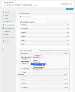 Thèmes Premium pour WordPress : <b>la coupe</b> est-elle pleine ? 6 Construction page d'accueil - Codeus