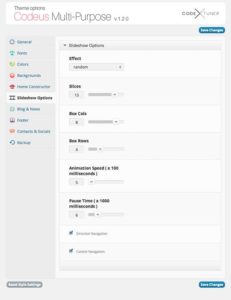 Thèmes Premium pour WordPress : <b>la coupe</b> est-elle pleine ? 5 Options slideshow - Codeus