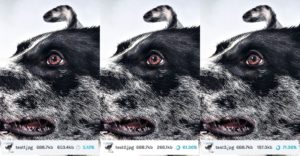 Les 3 types de compression d'IMAGIFY