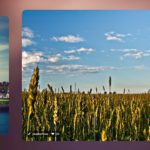 Slider Revolution v5.0 : c'est <b>la révolution !</b> 7 Slider Revolution Flux Instagram