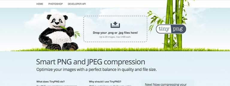 WordPress : compresser les images en ligne