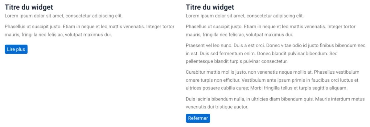 Text Unfold For Elementor : <b>dépliez vos textes trop longs</b> 2 Le contenu du widget Text Unfold For Elementor