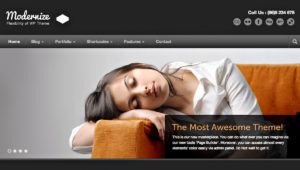 Thème Premium WordPress Modernize