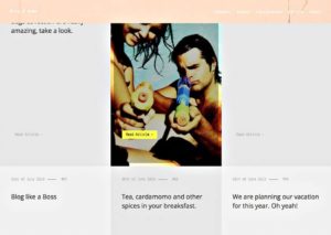 Th&egrave;me WP Lobo - Page Blog