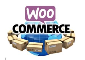 Woocommerce 2.6 - Zones de livraison