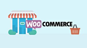 Extension Woocommerce pour WordPress