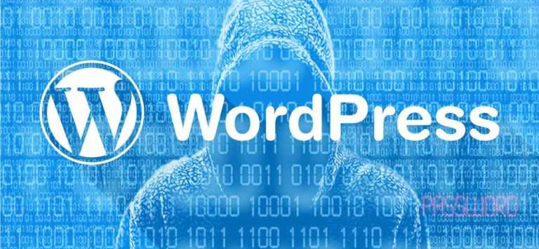 Prot&eacute;ger WordPress