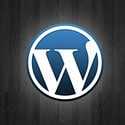 Wordpress version 3.5