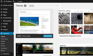 Gestion des th&egrave;mes avec WordPress 3.8